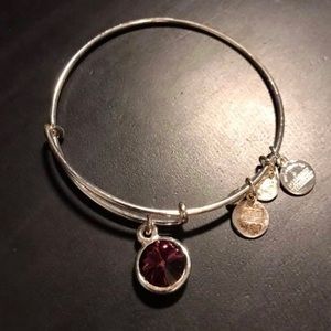 Alex and Ani Amethyst Bangle